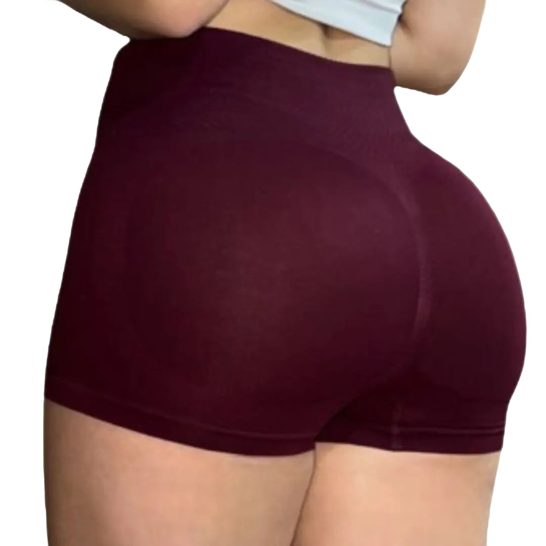 PANTY LEVANTACOLA Y FAJA